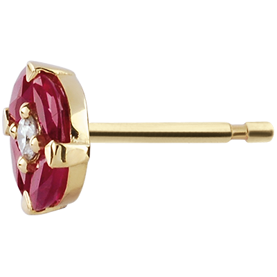 Oiseau de Paradis nº 3