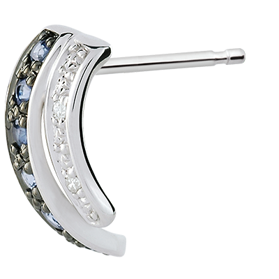 Oiseau de Paradis nº 34