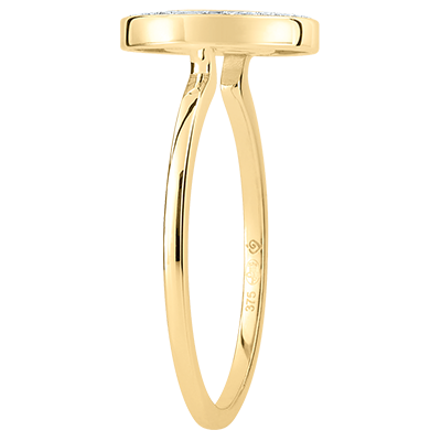 Oiseau de Paradis nº 7