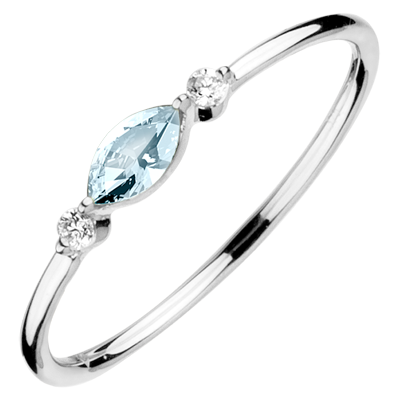 Oiseau de Paradis nº 9