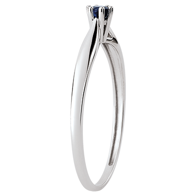 Oiseau de Paradis Nº46