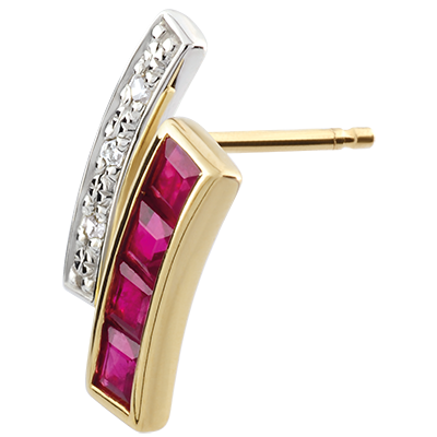 Oiseau de Paradis No. 19