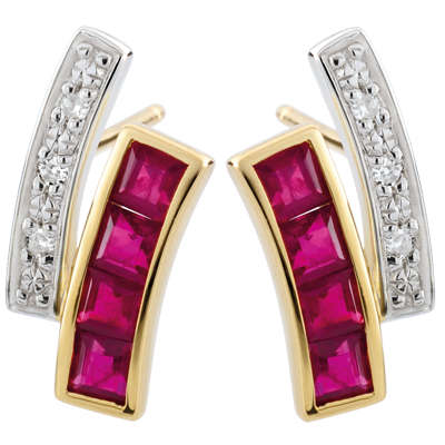 Oiseau de Paradis No. 19