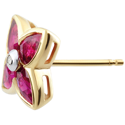 Oiseau de Paradis No. 29