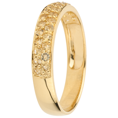 Oiseau de Paradis No. 3