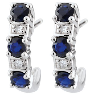 Paradiesvogel Nr. 2 Paradiesvogel Nr. 2