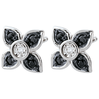 Paradiesvogel Nr. 35