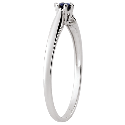 Paradiesvogel Nr. 47