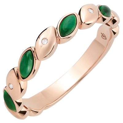 Paradiesvogel Nr. 6 Paradiesvogel Nr. 6