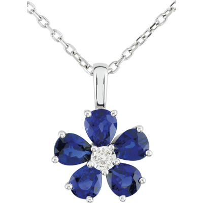 Paradijsvogel nr. 12