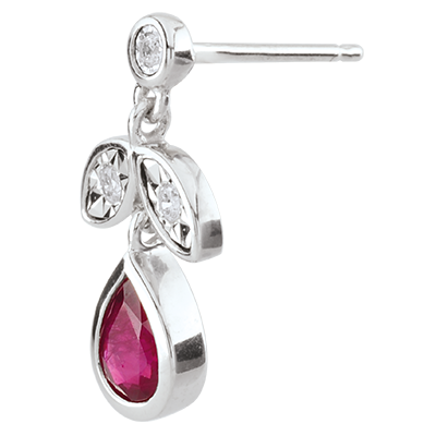 Paradijsvogel nr. 22