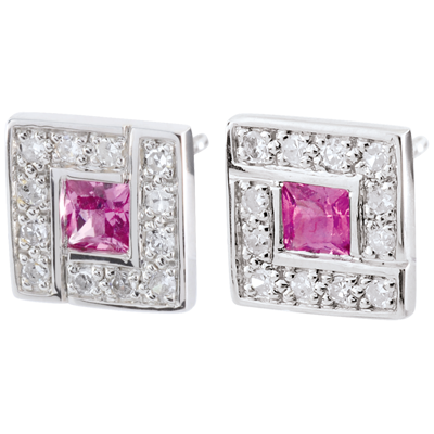 Paradijsvogel nr. 26