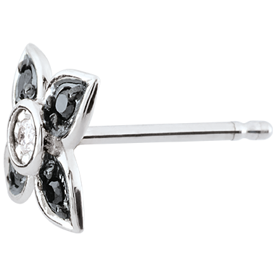 Paradijsvogel nr. 35