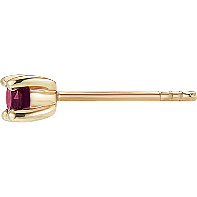 Paradijsvogel nr. 42