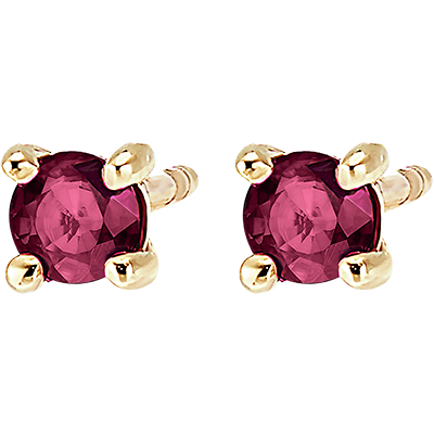 Paradijsvogel nr. 42 Paradijsvogel nr. 42