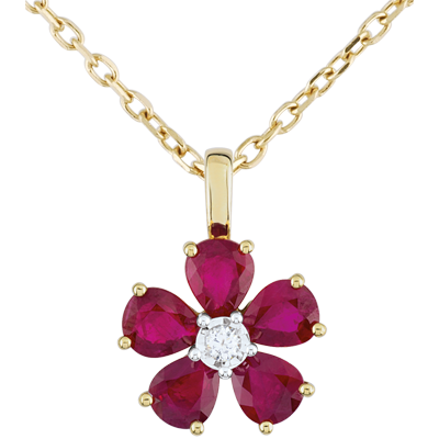 Pasăre din Paradis nr. 12