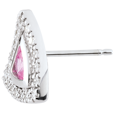 Pasăre din Paradis nr. 13