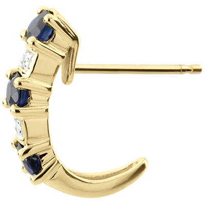 Pasăre din Paradis nr. 2