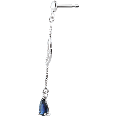 Pasăre din Paradis nr. 24