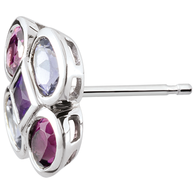 Pasăre din Paradis nr. 27