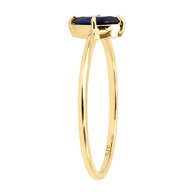 Pasăre din Paradis nr. 33