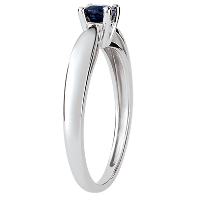 Pasăre din Paradis nr. 36