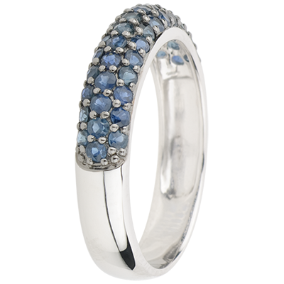 Pasăre din Paradis nr. 4