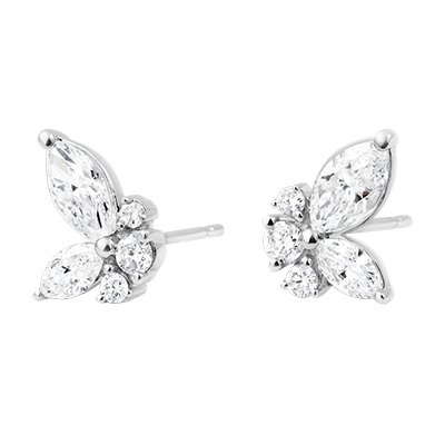 Paseo Soñado n.º 6