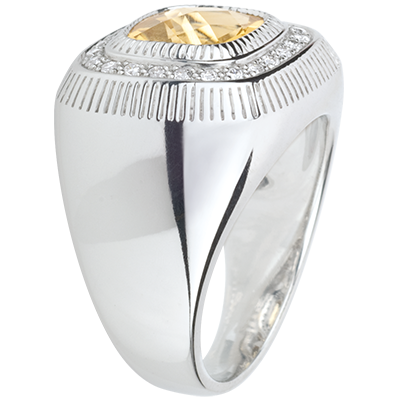 Passeggiata Immaginaria n. 5