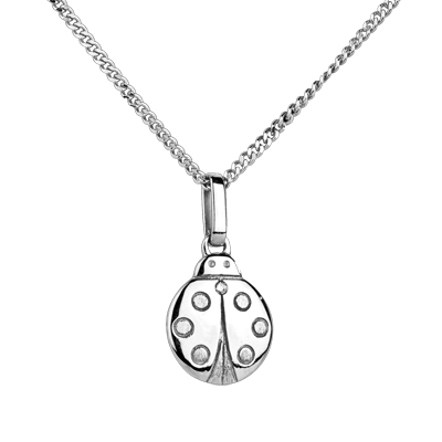 Petits Trésors nº 13