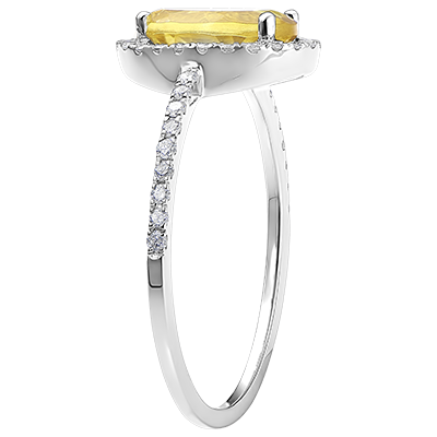 Ponadczasowa Szarotka nr 3