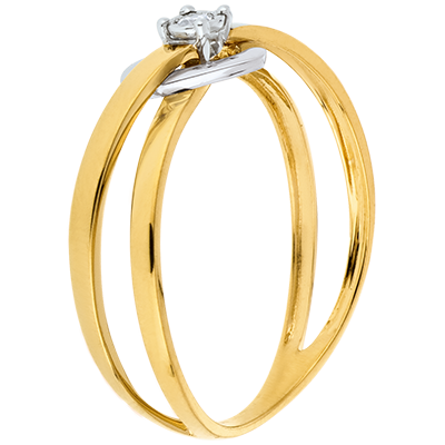 Précieux Secret nº 11