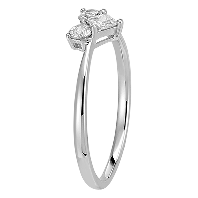 Précieux Secret nº 17