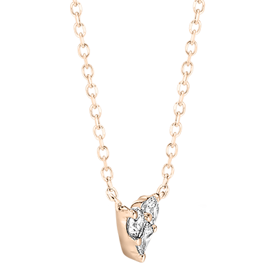 Précieux Secret nº 17