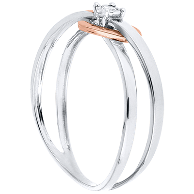 Précieux Secret No. 11