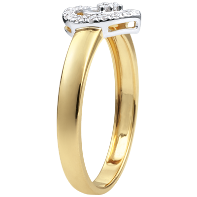 Precioso Secreto n.º 13