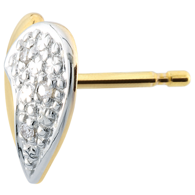 Prezioso Segreto n. 1