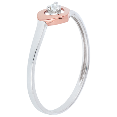 Prezioso Segreto n. 10