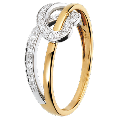 Prezioso Segreto n. 6