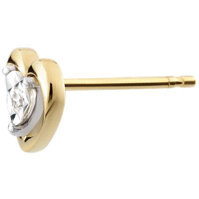 Prezioso Segreto n. 8