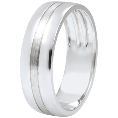 Promesa Nº102