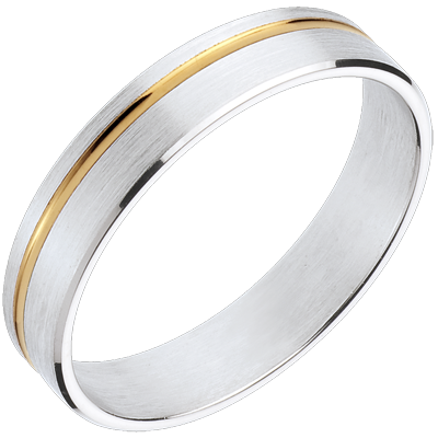Promesa Nº17