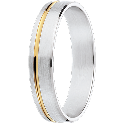 Promesa Nº17