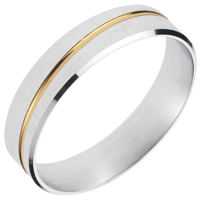 Promesa Nº41
