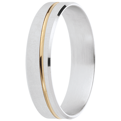 Promesa Nº41