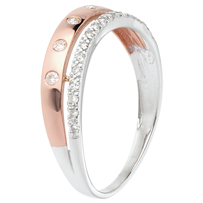 Promesa Nº47