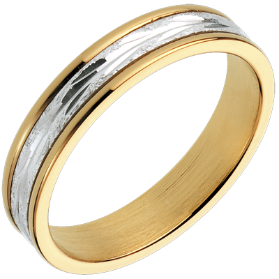 Promesa Nº6