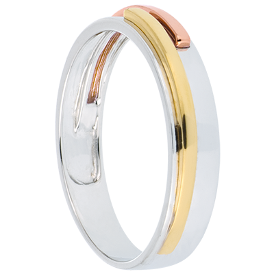 Promesa Nº72