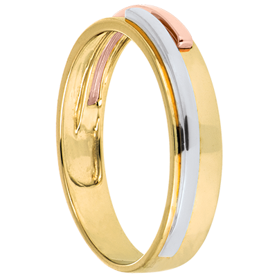 Promesa Nº72