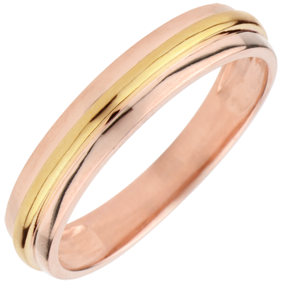 Promesa Nº80